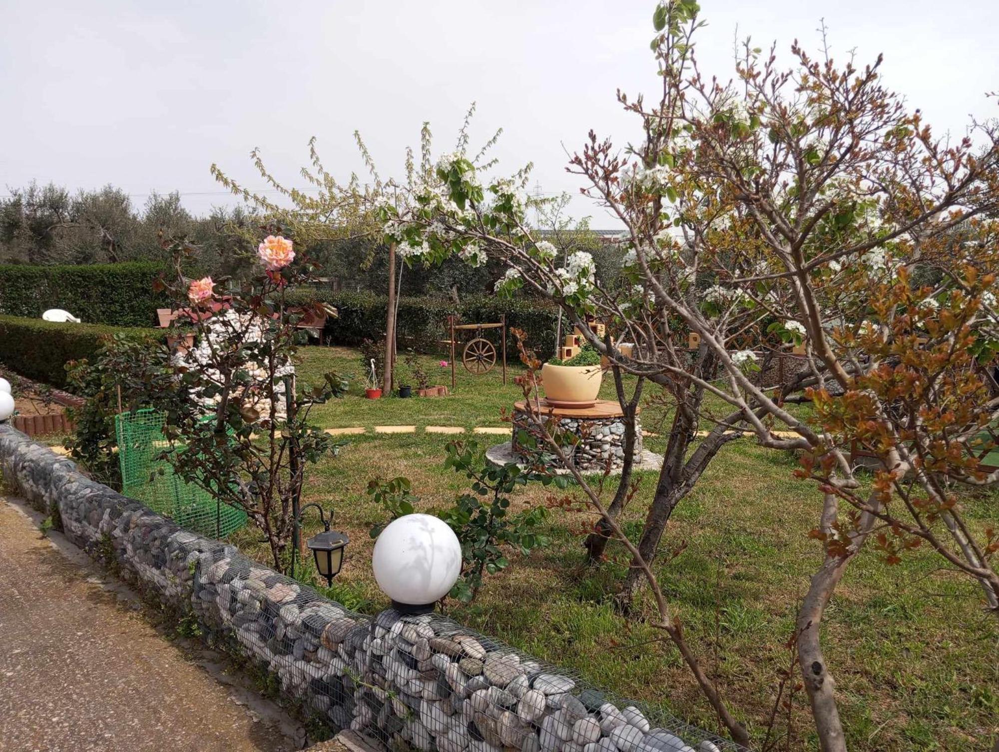 Dora'S Garden Villa Alexandroupoli Exterior foto